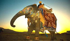 Rajasthan Tour is swanked with endless natural beauty