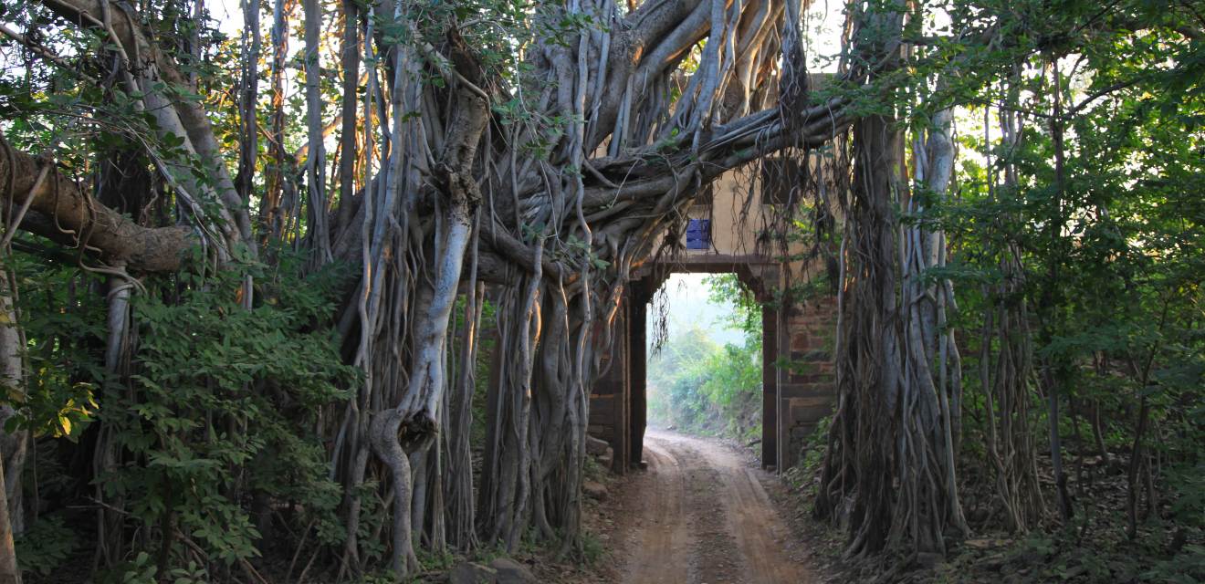 Golden Triangle Tour with Ranthambore by Car